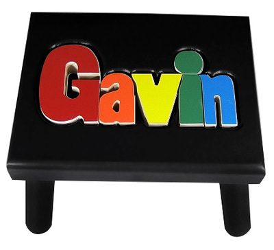 Black Gavin Puzzle Step Stool